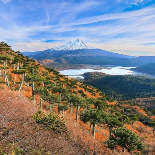 Conguillío National Park